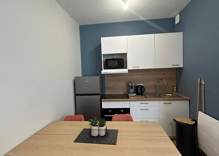 Le Balcon Fleuri - 9 Min Sanctuaires - Renove & Equipe - Calme Sur Cour - 4 Couchages ルルド